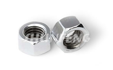 Two stainless steel heavy hex nuts in larger size and shiny surface.