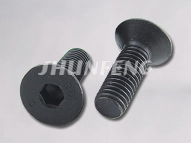 Two plain countersunk bolts with hex hole in their flat head.