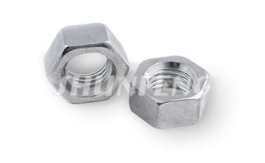 Two clear zinc plated hex nuts in standard type.