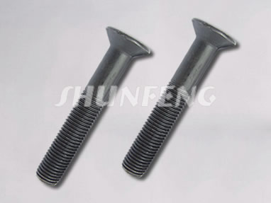 Two countersunk bolts with partially threaded shanks.